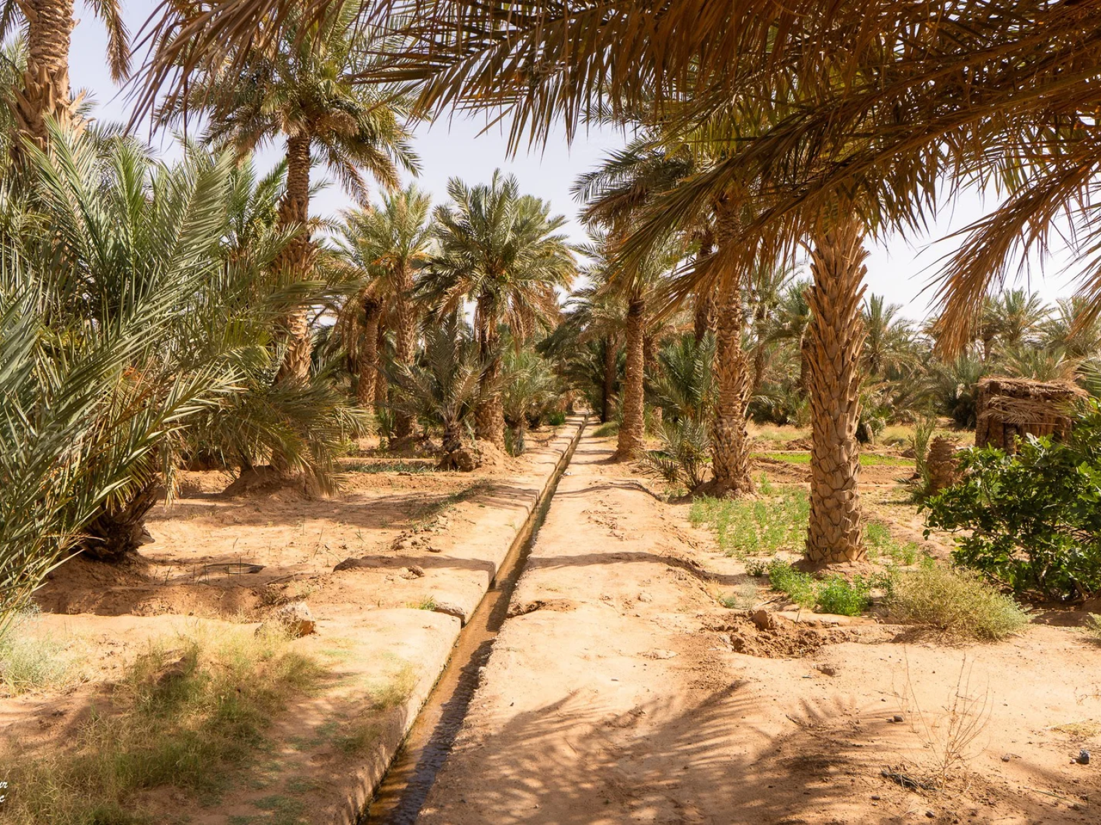 Merzouga Trip 5 days 4 nights