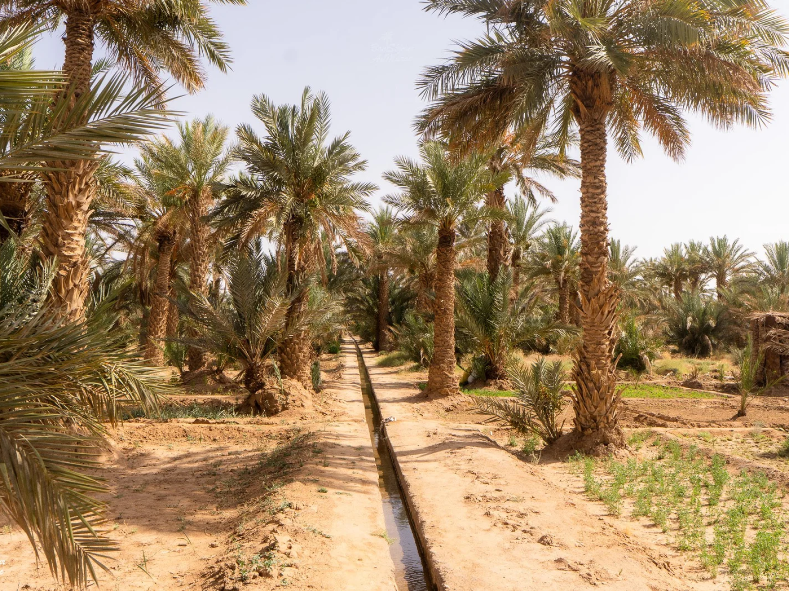 Merzouga Trip 3 days 2 nights