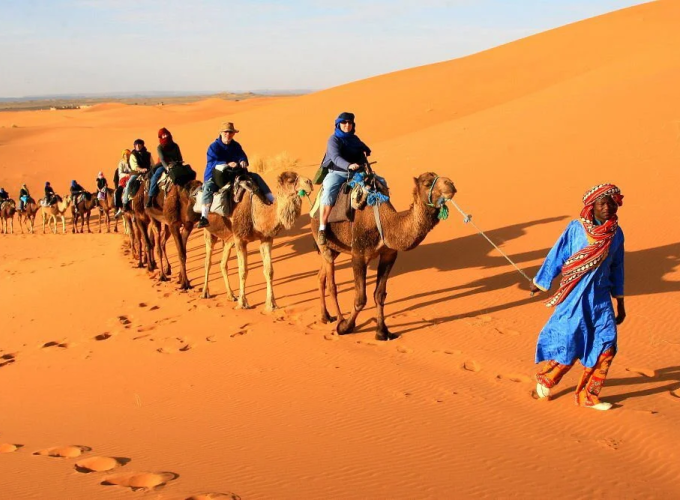 Camel ride in the Sahara Desert