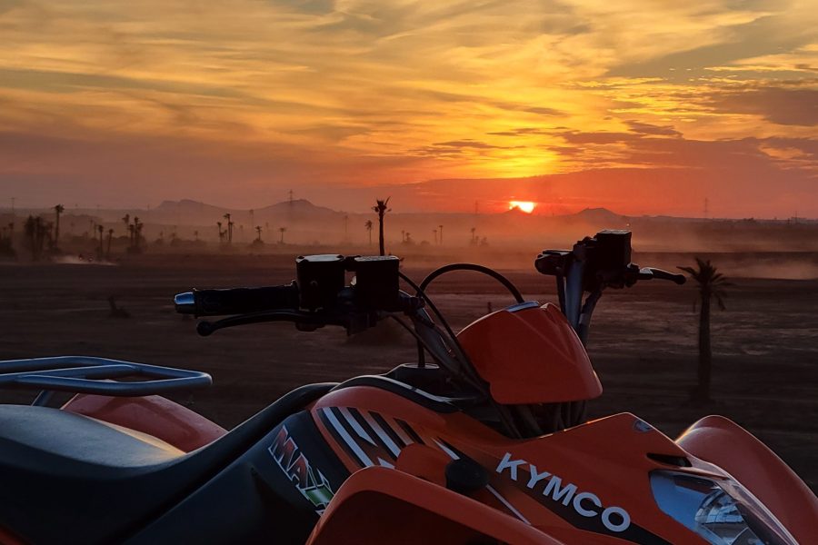 Quad Excursion in Marrakech Palmeraie