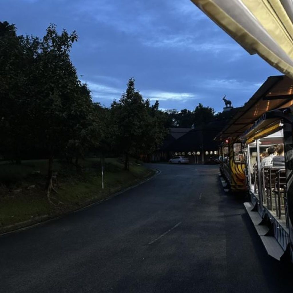 Chiang Mai Night Safari – Wildlife Adventure After Dark