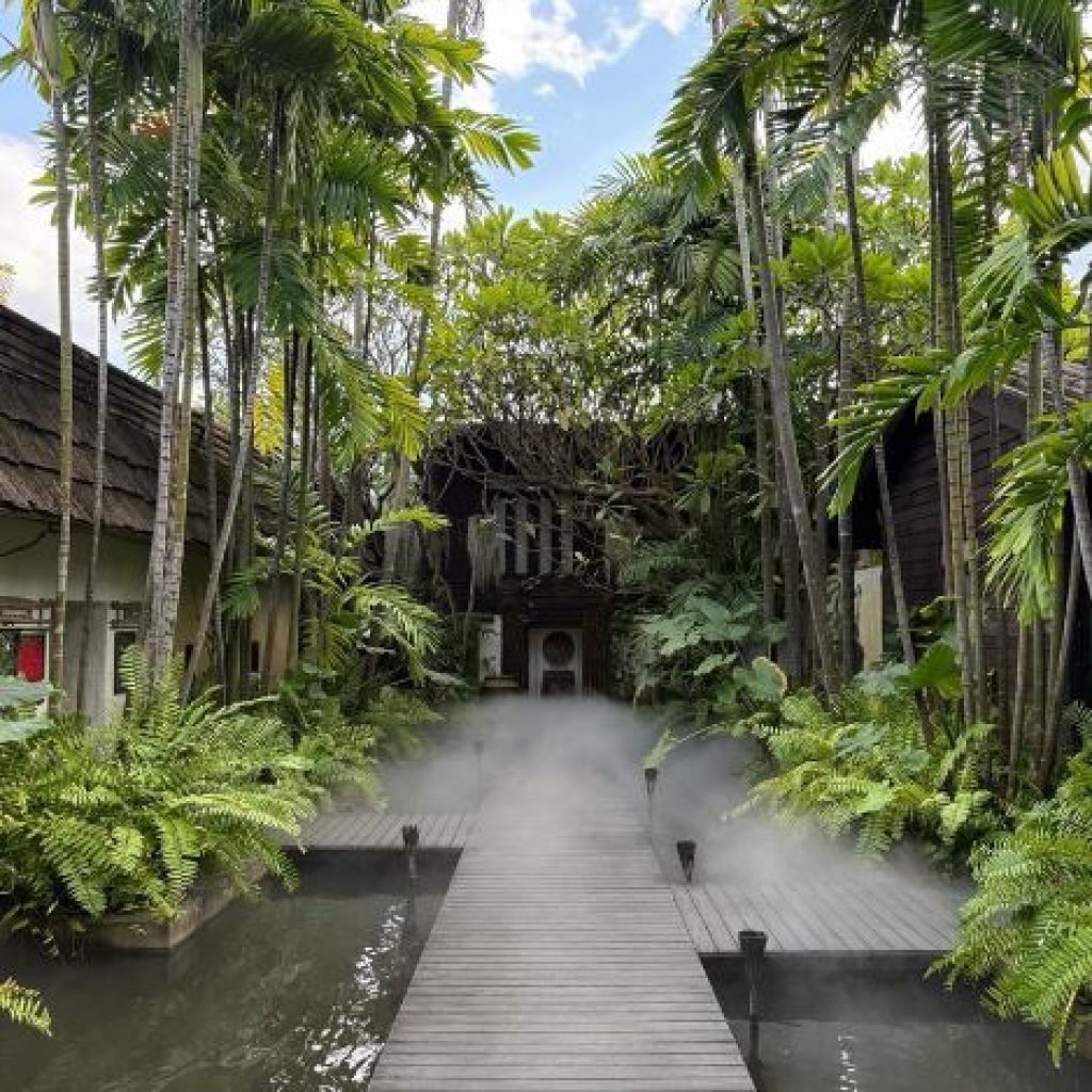 Authentic Thai Massage & Wellness Experience in Chiang Mai