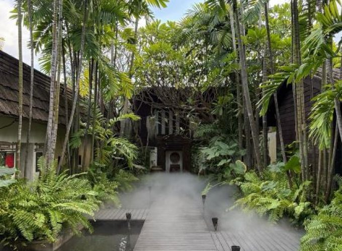 Authentic Thai Massage & Wellness Experience in Chiang Mai