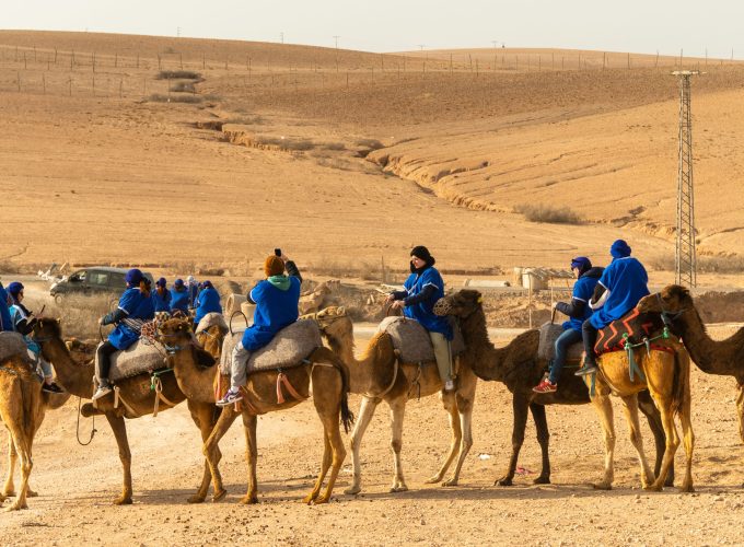 Camel ride in the Agafay Desert