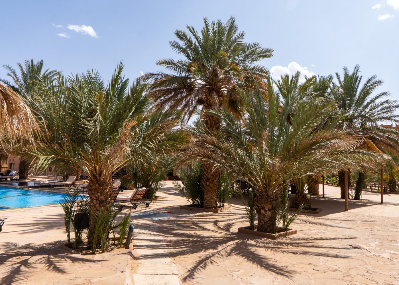 Tombouctou Resort & Spa
