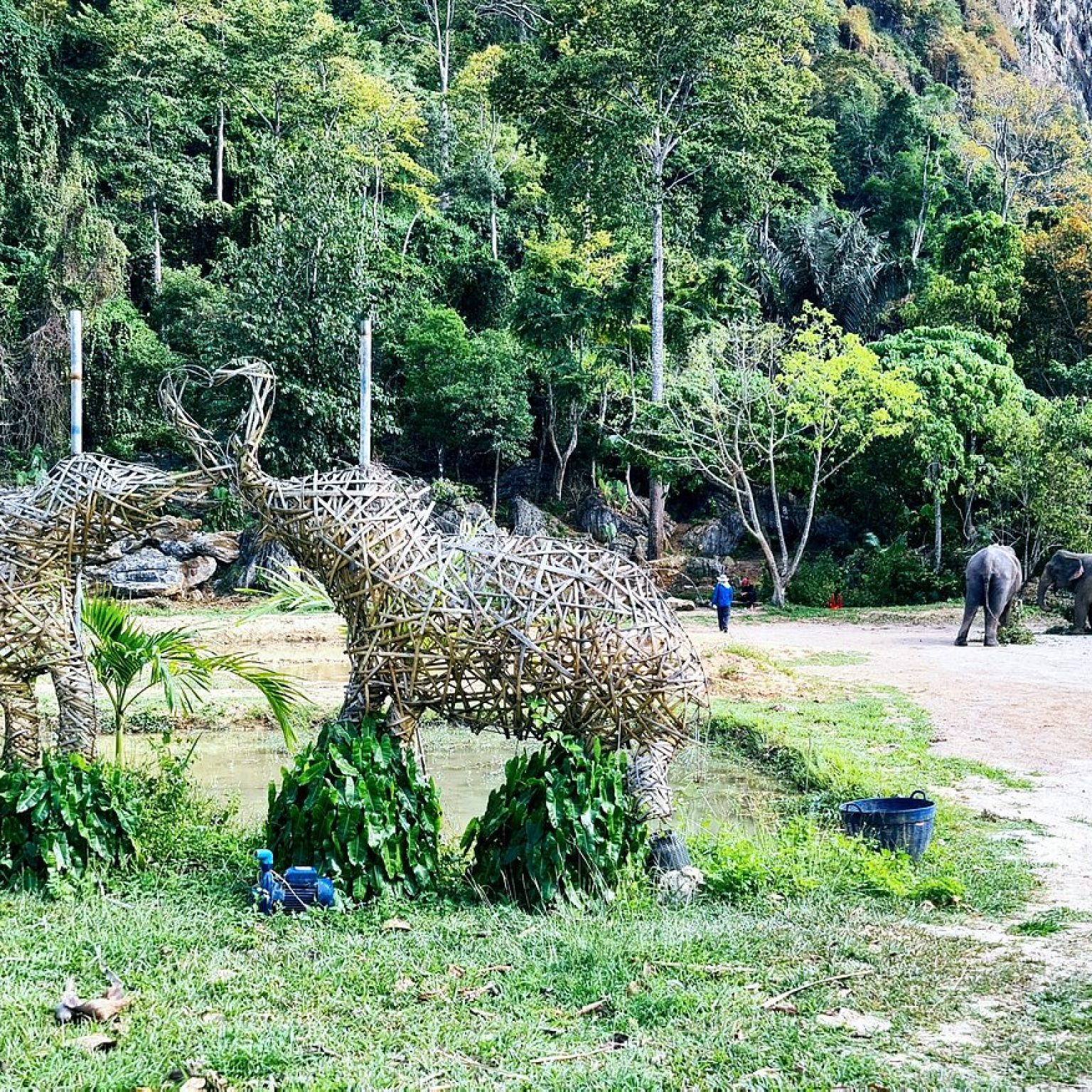 aonang-elephant-sanctuary