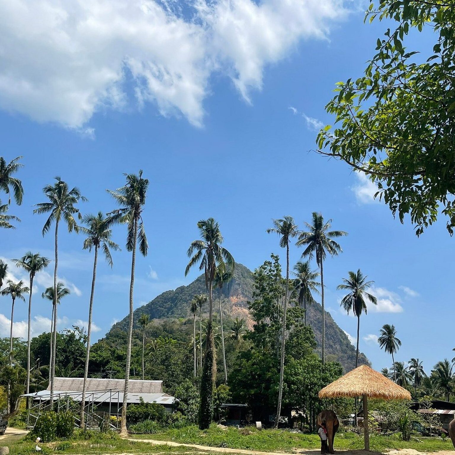caption (10)