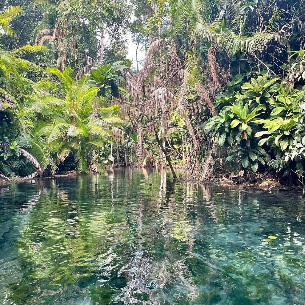 Explore Krabi’s Mangrove & Crystal Waters on a Kayak Adventure