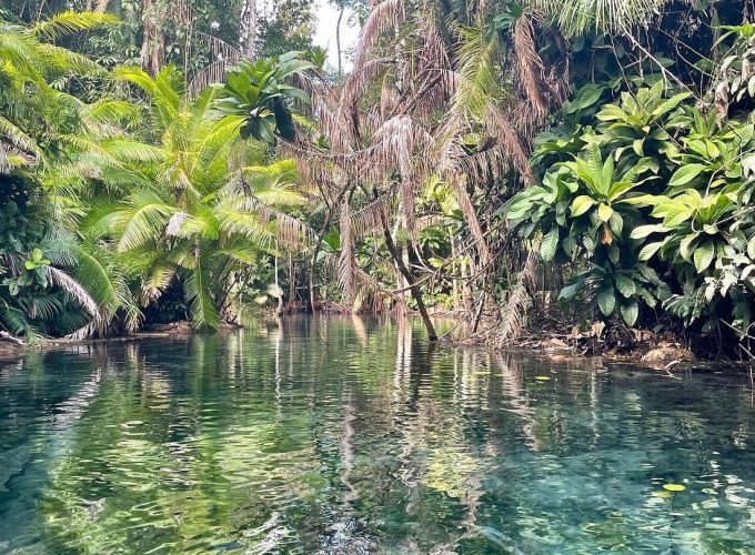 Explore Krabi’s Mangrove & Crystal Waters on a Kayak Adventure