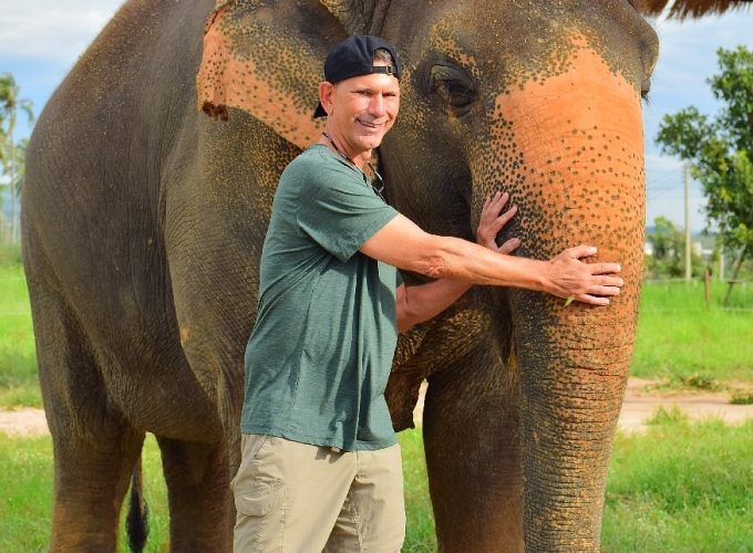 Elephant Jungle Sanctuary Half-Day Morning
