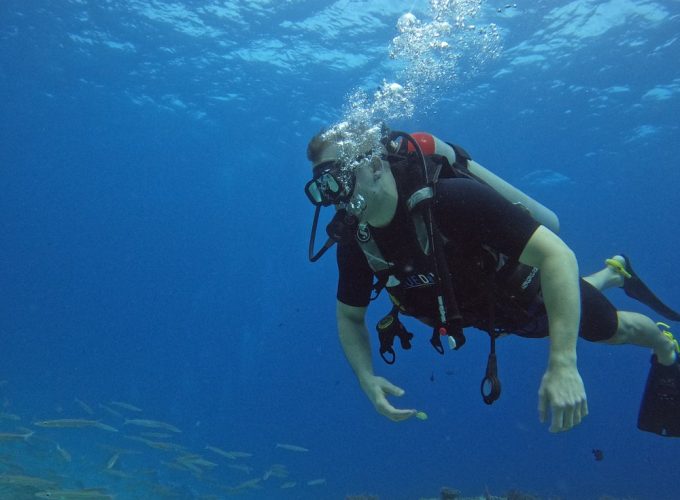 Scuba Diving Day Trip Phuket – Racha, Phi Phi & More