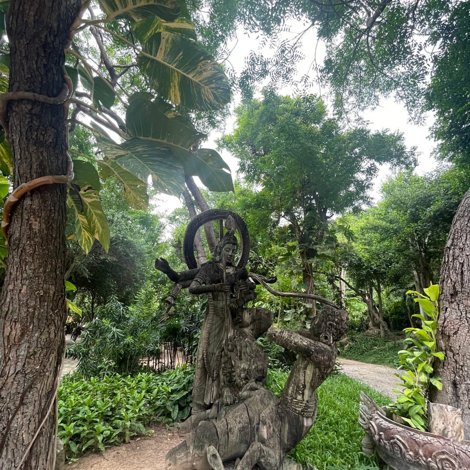 caption (5)
