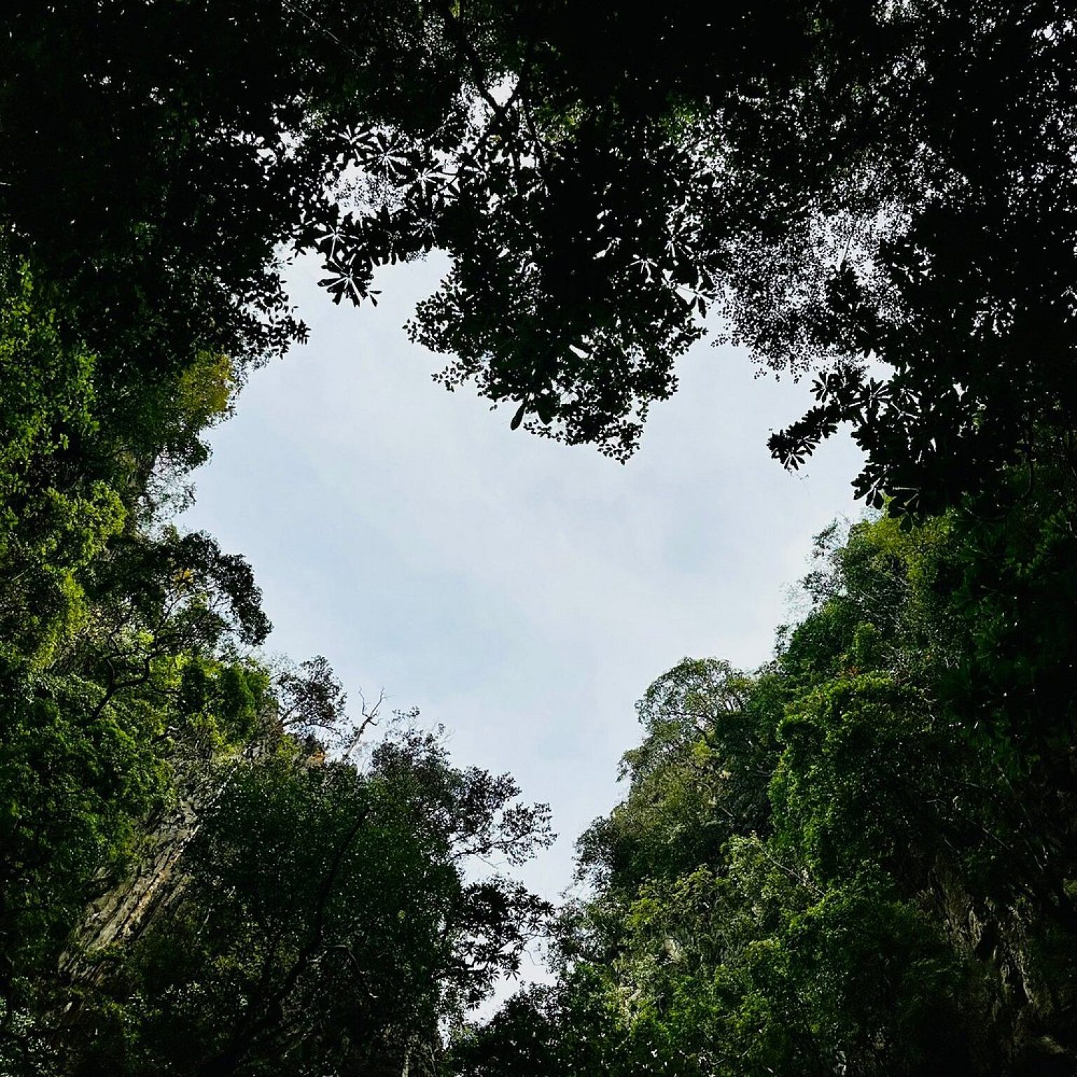 caption (6)