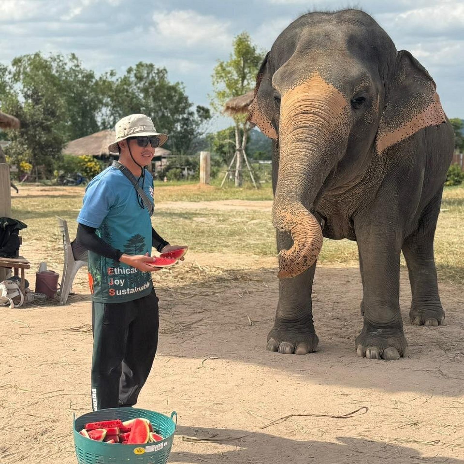 caption (6)