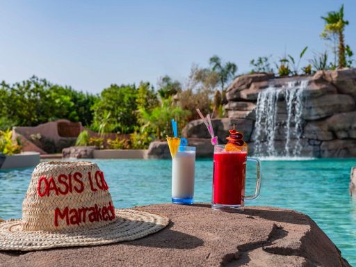 Day Pass at Oasis Lodges