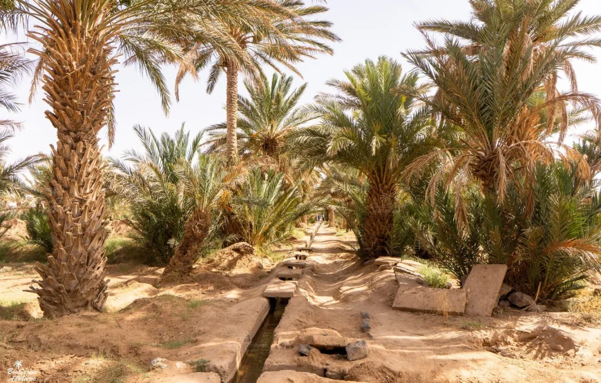 Merzouga Trip 4 days 3 nights