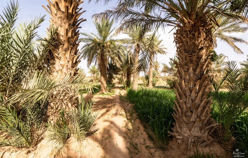 Merzouga Trip 4 days 3 nights