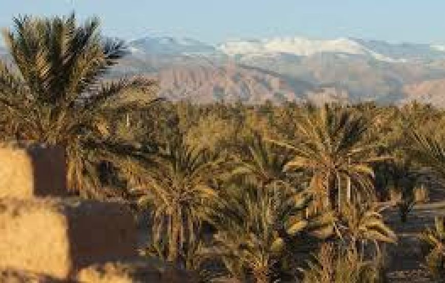 Merzouga Trip 6 days 5 nights