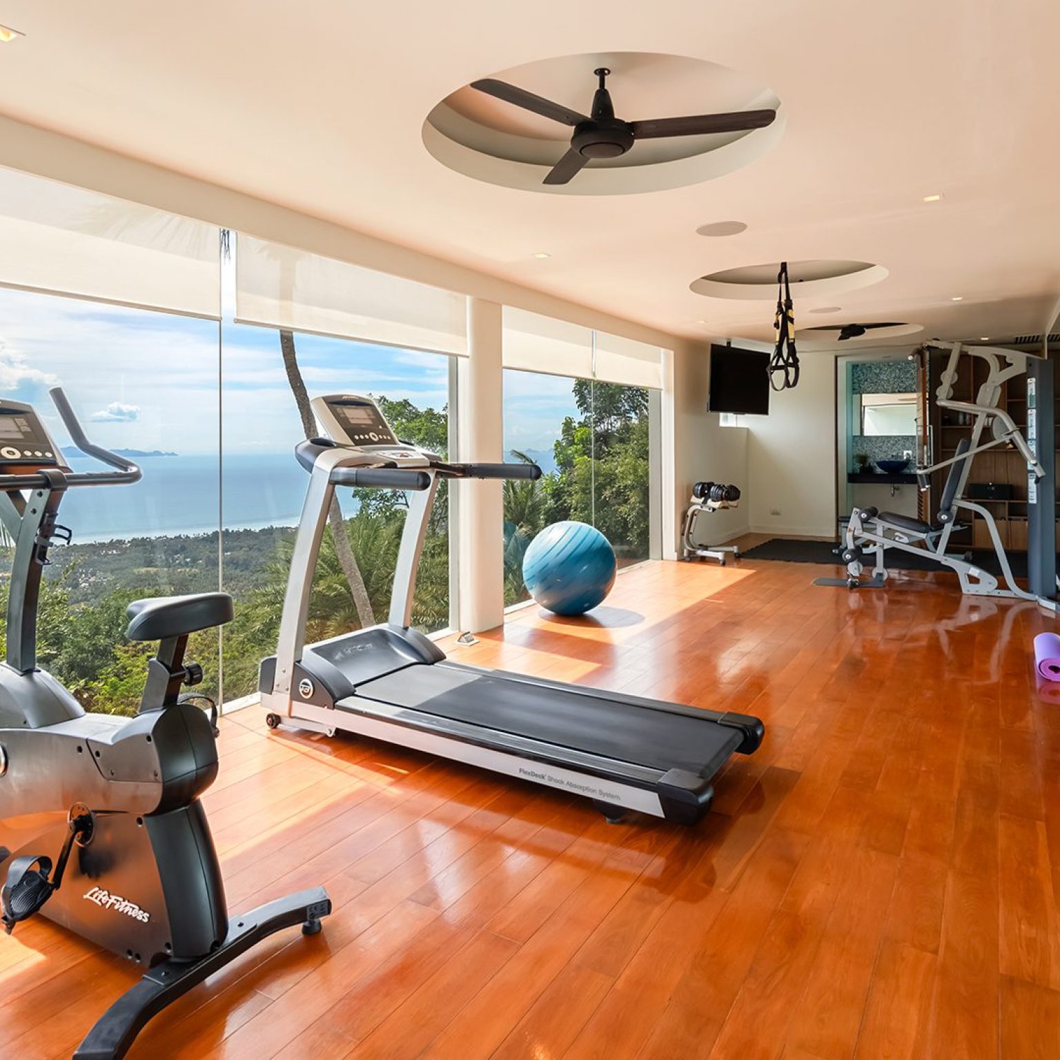Fitness-1
