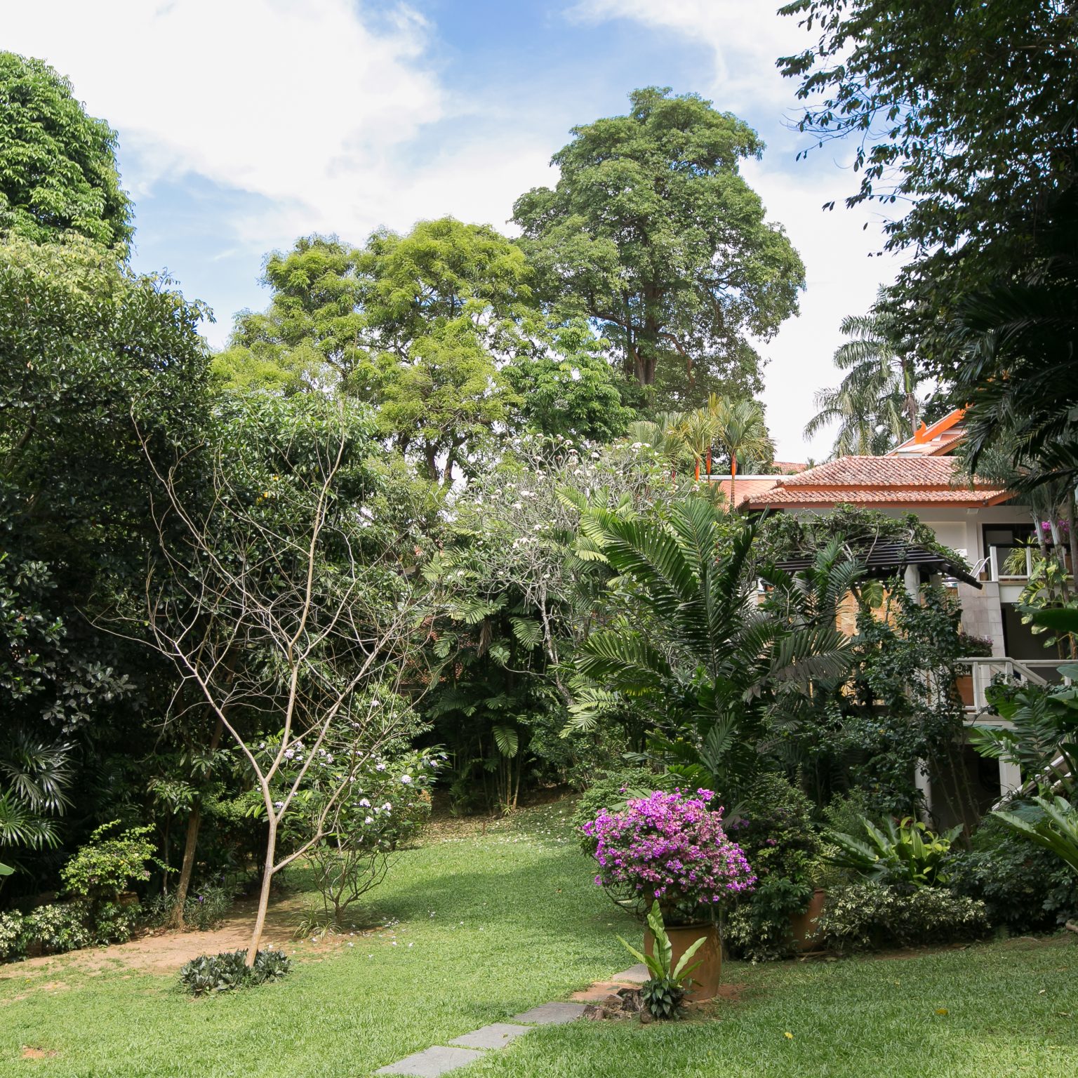 Katamanda C4_Garden_0026