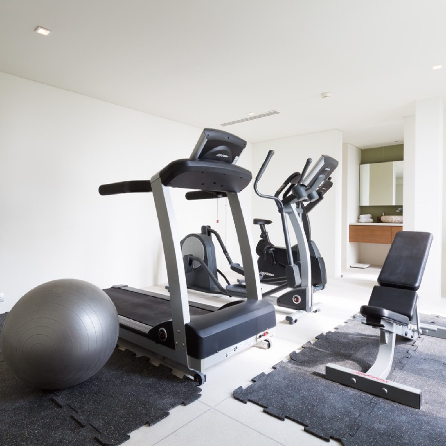 Lime V4-gym-1 – Grande