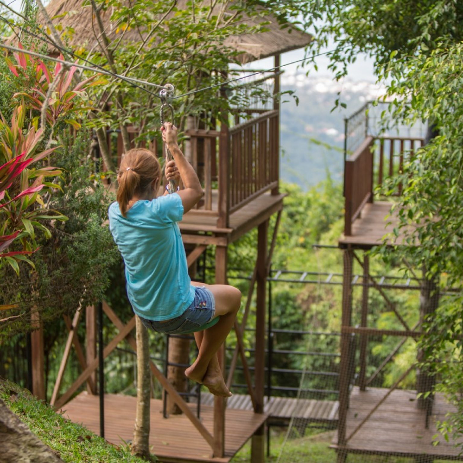 Lime V4-treehouse-gardens-4 – Grande