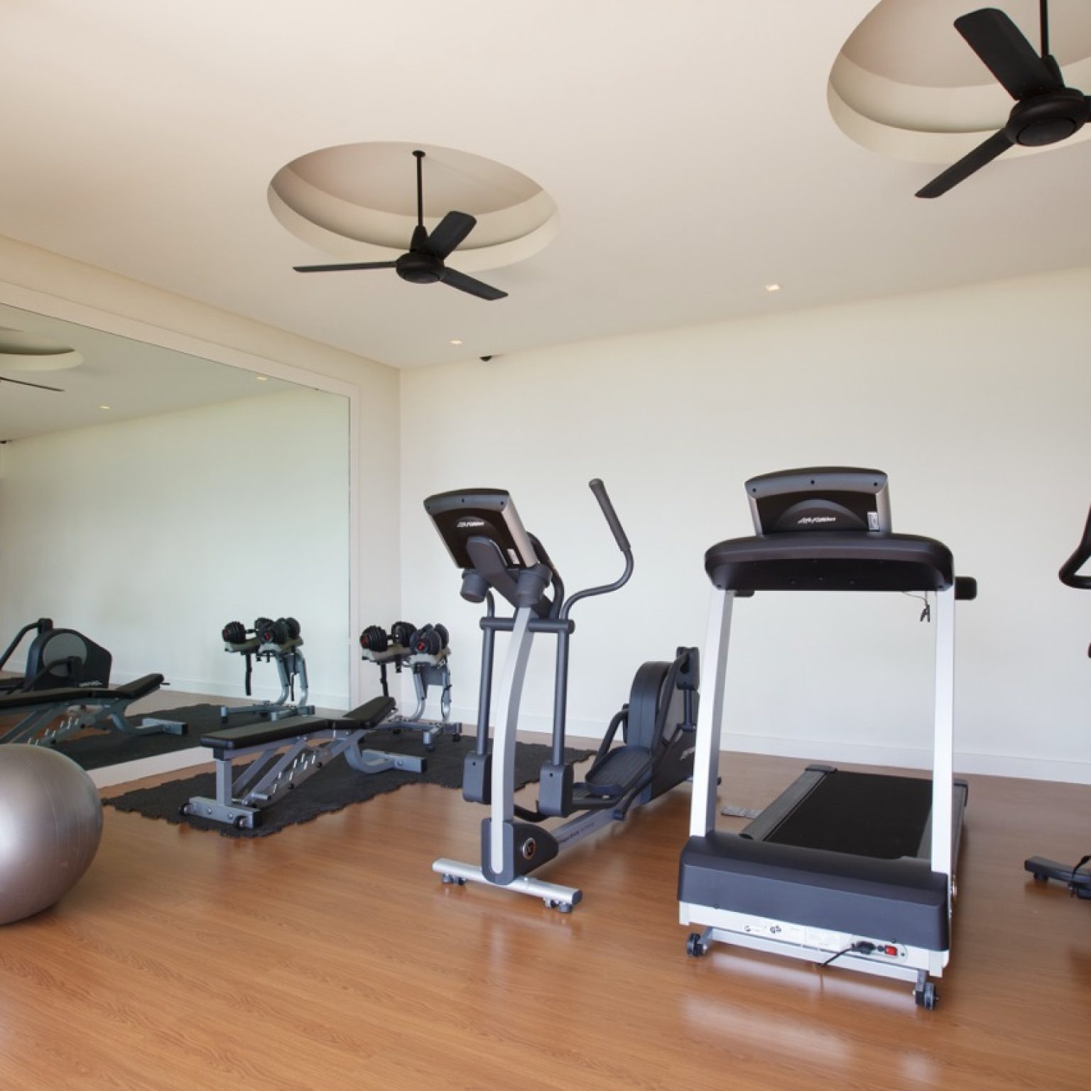 Lime V4_gym-2 – Grande