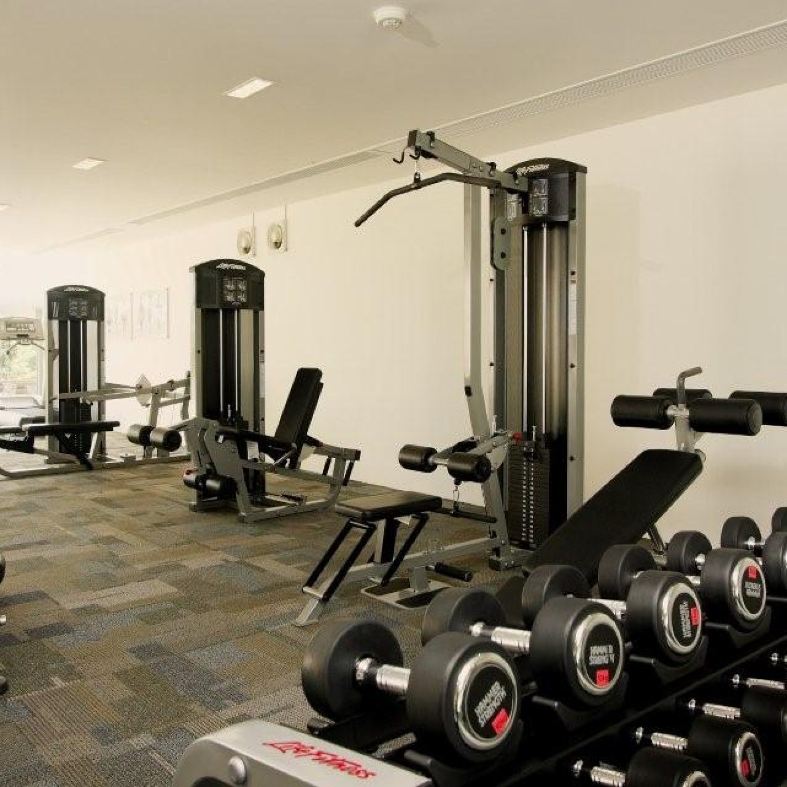 TH-Fitness