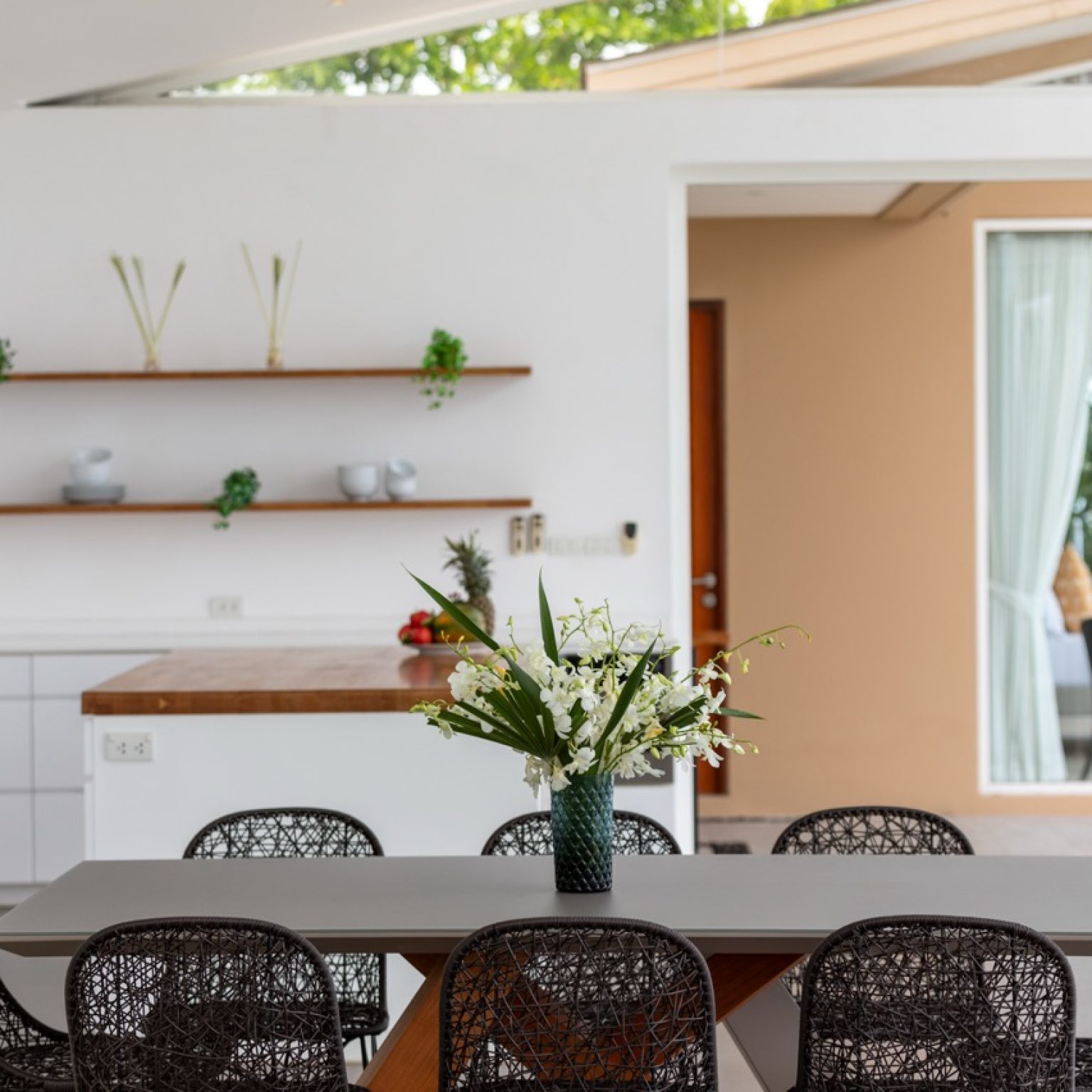 Villa Cabo – September 2024 (10) – Grande