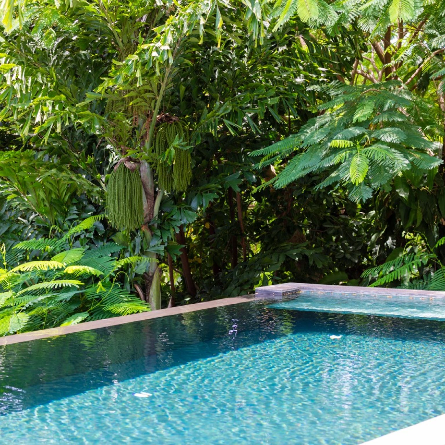 Villa Sethai – September 2024 (25) – Grande