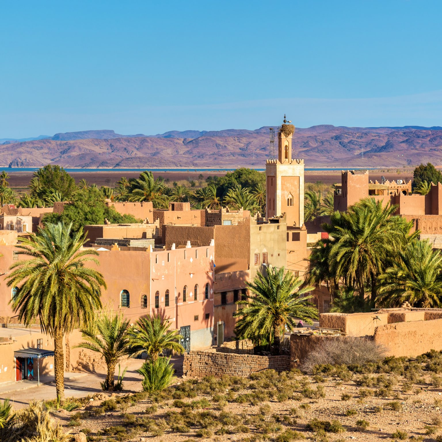 Buildings in Ouarzazate, a city in south-central Morocco