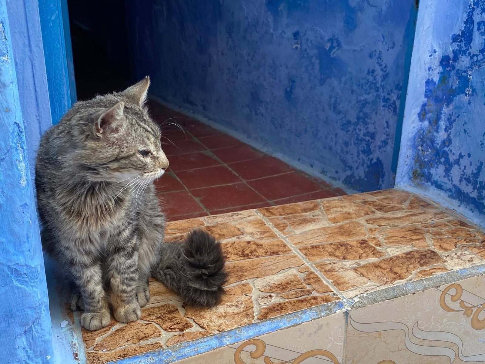 Chefchaouen Trip from Marrakech | 4 Days 3 nights