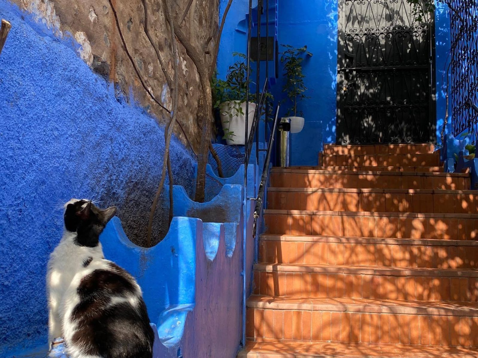 Chefchaouen Trip from Marrakech | 4 Days 3 nights