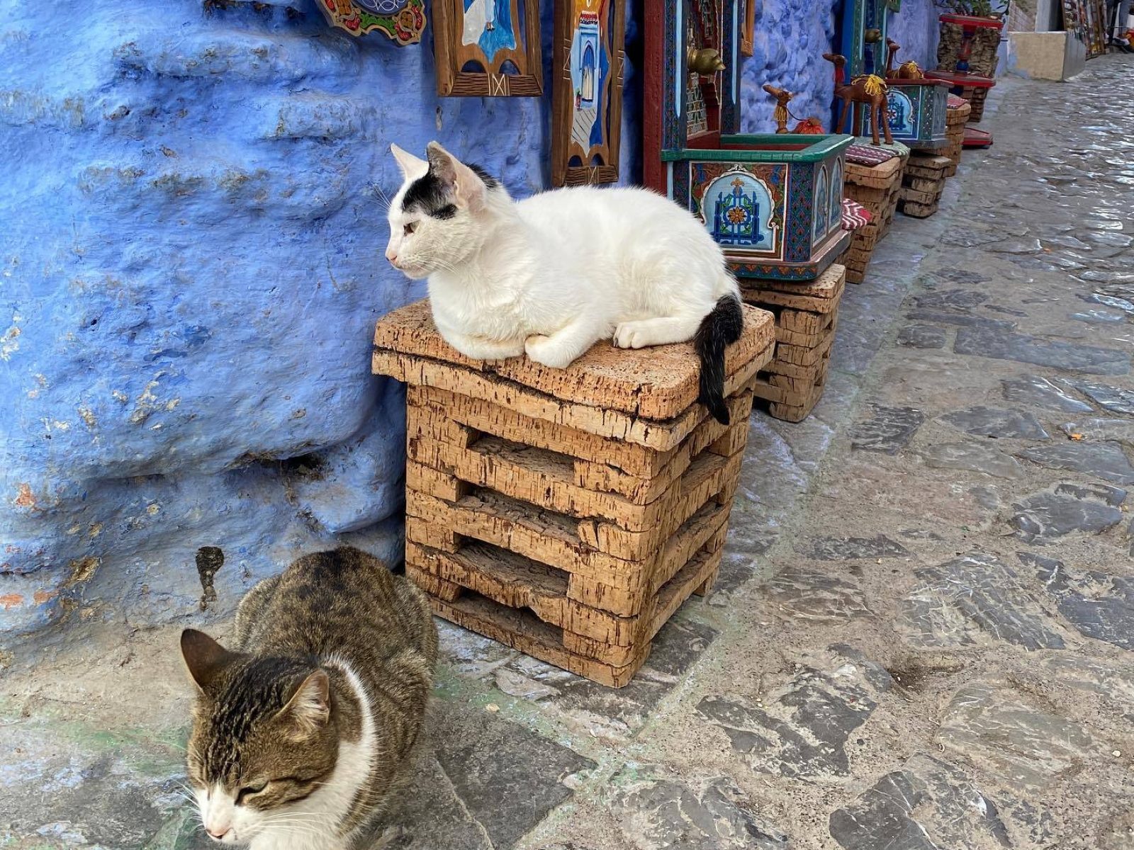 Chefchaouen Trip from Marrakech | 4 Days 3 nights