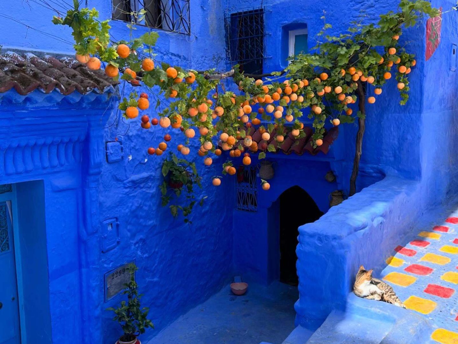 Chefchaouen Trip from Marrakech | 4 Days 3 nights