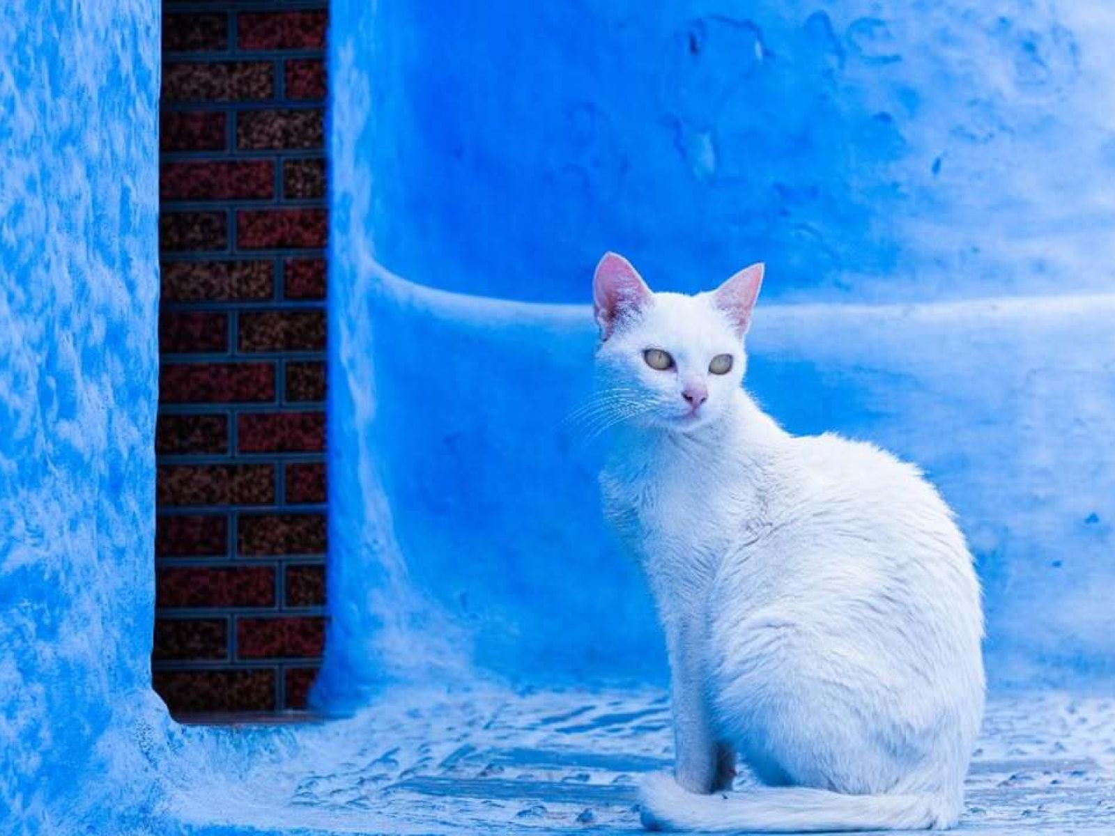 Chefchaouen Trip from Marrakech | 4 Days 3 nights