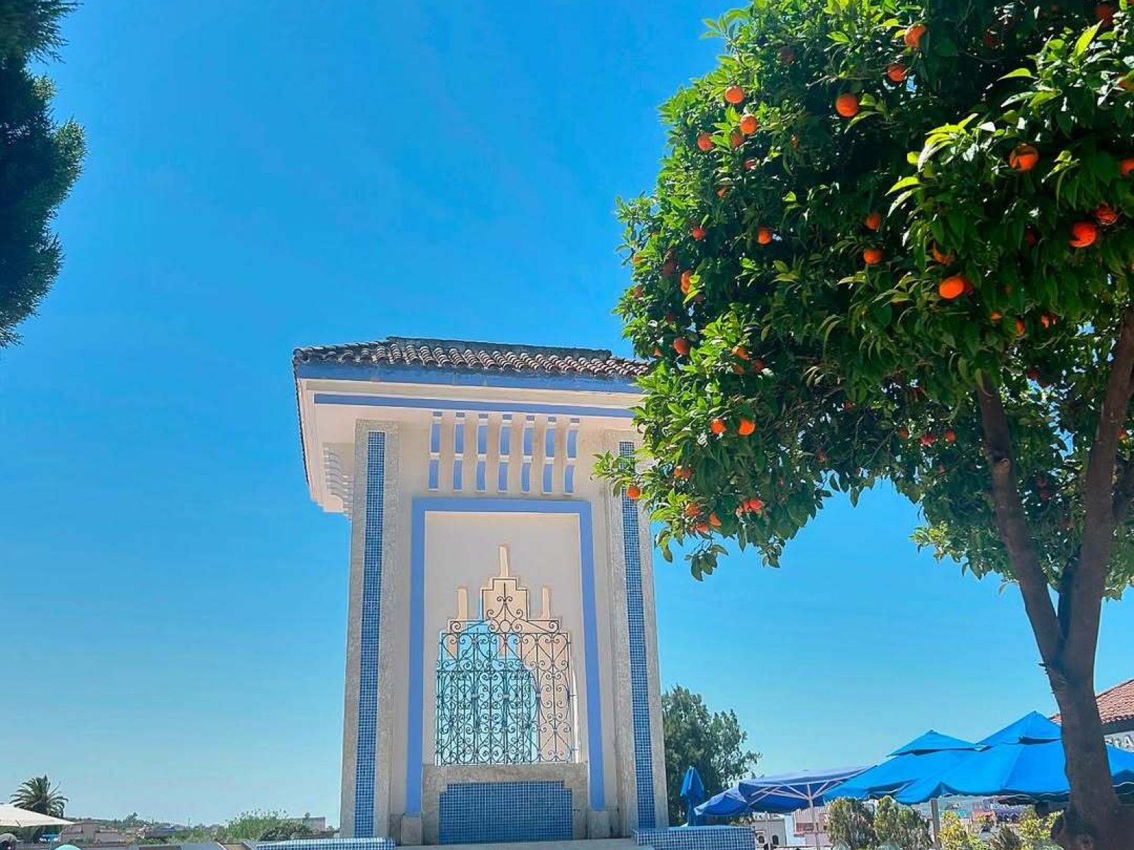 Chefchaouen Trip from Marrakech | 4 Days 3 nights