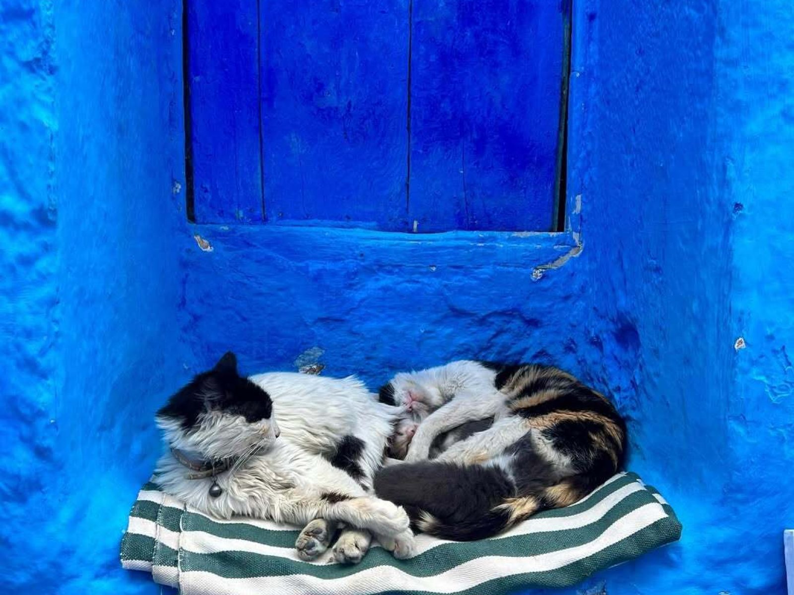 Chefchaouen Trip from Marrakech | 4 Days 3 nights