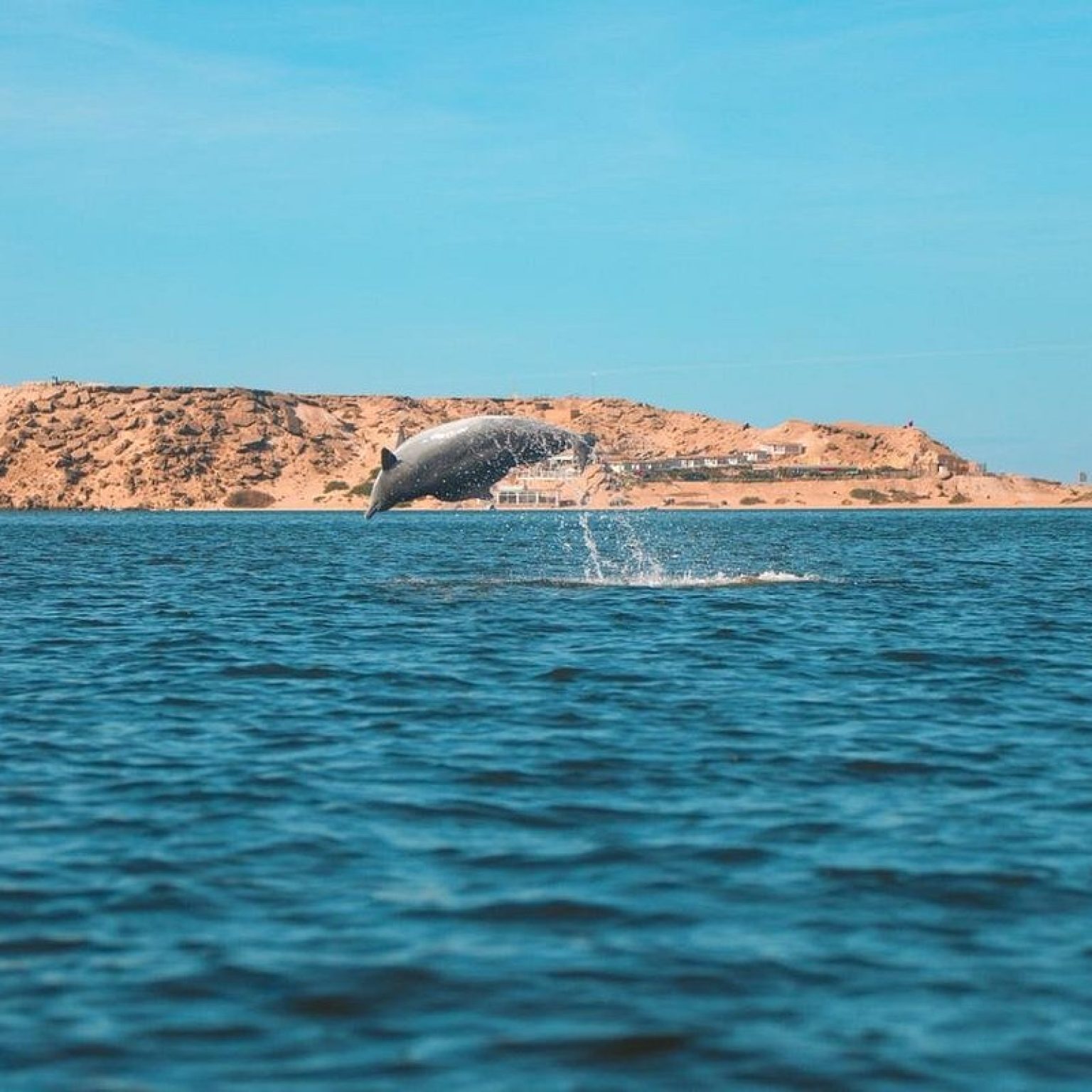 dakhla-club-c-est-magique