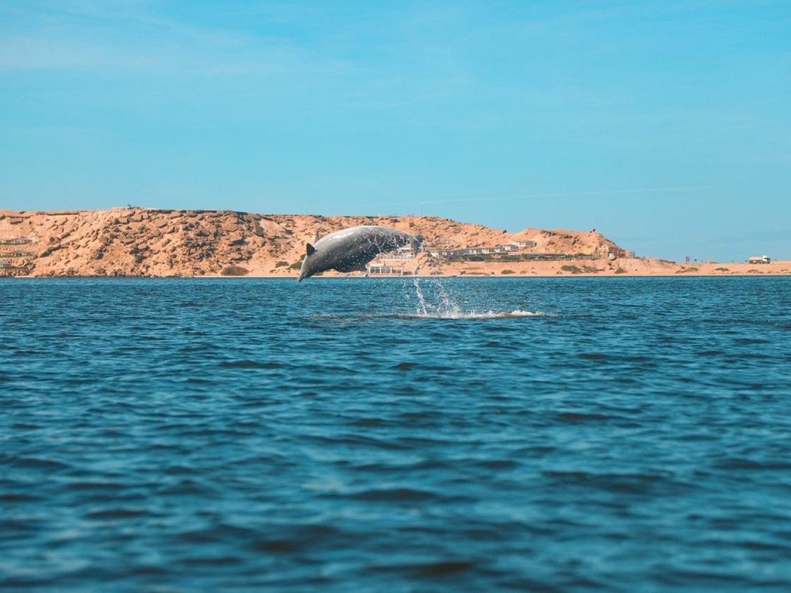 Dakhla & Agadir Trip from Marrakech | 5 Days 4 nights