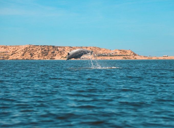 Dakhla & Agadir Trip from Marrakech | 5 Days 4 nights