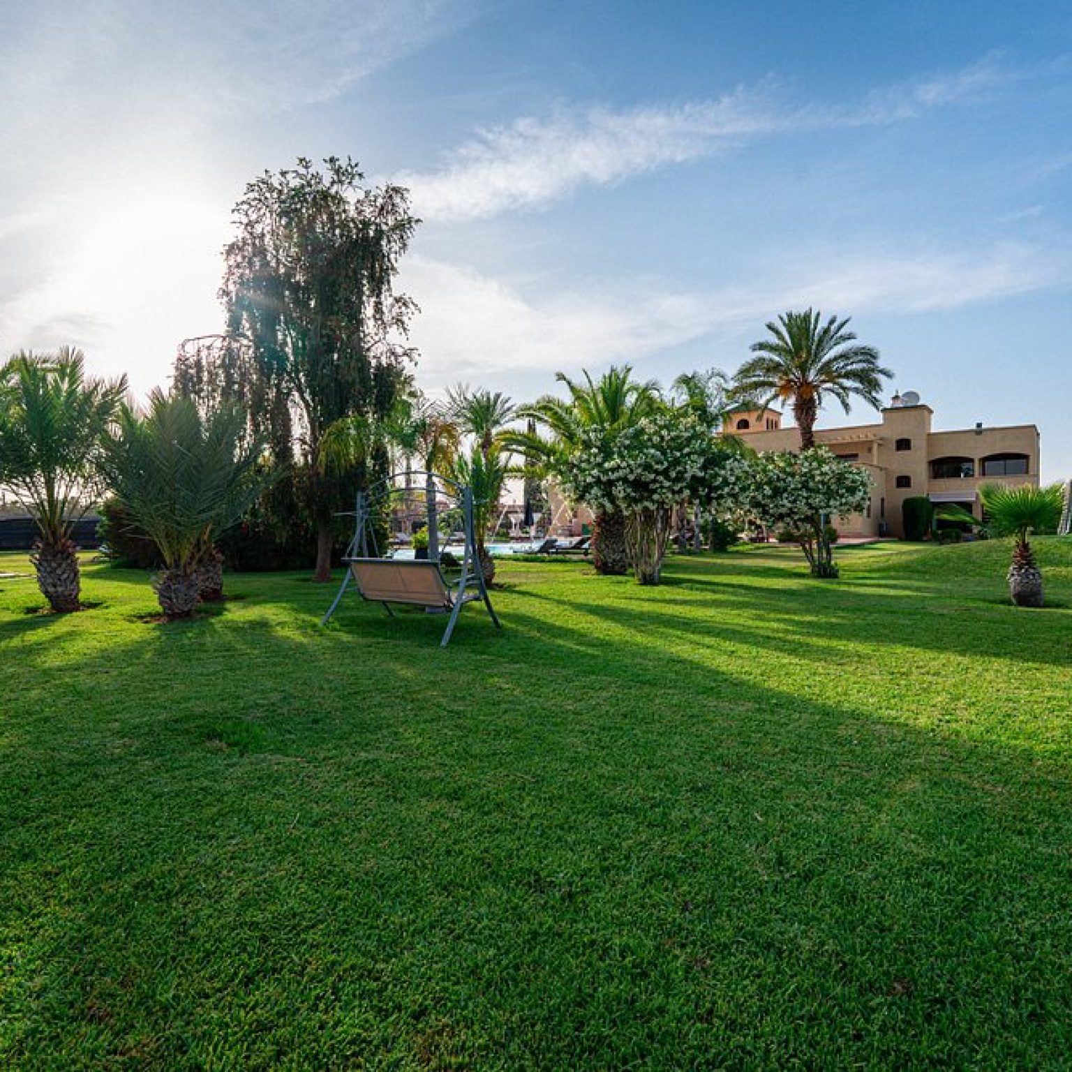 jardin-verdure