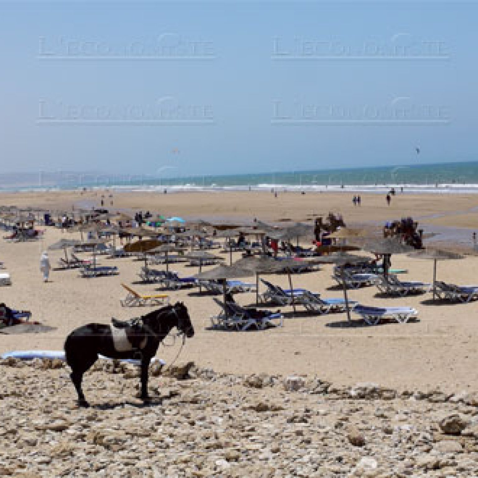 plage-sidi-kaouki-1-069