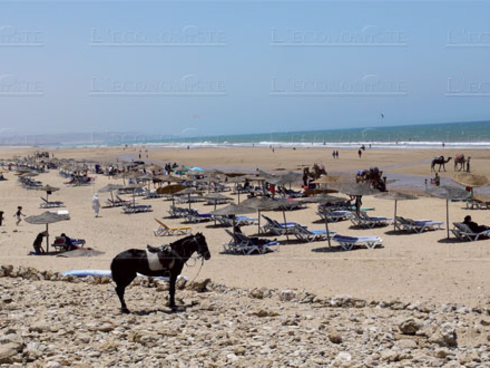 Essaouira & Agadir Trip from Marrakech | 4 Days 3 nights