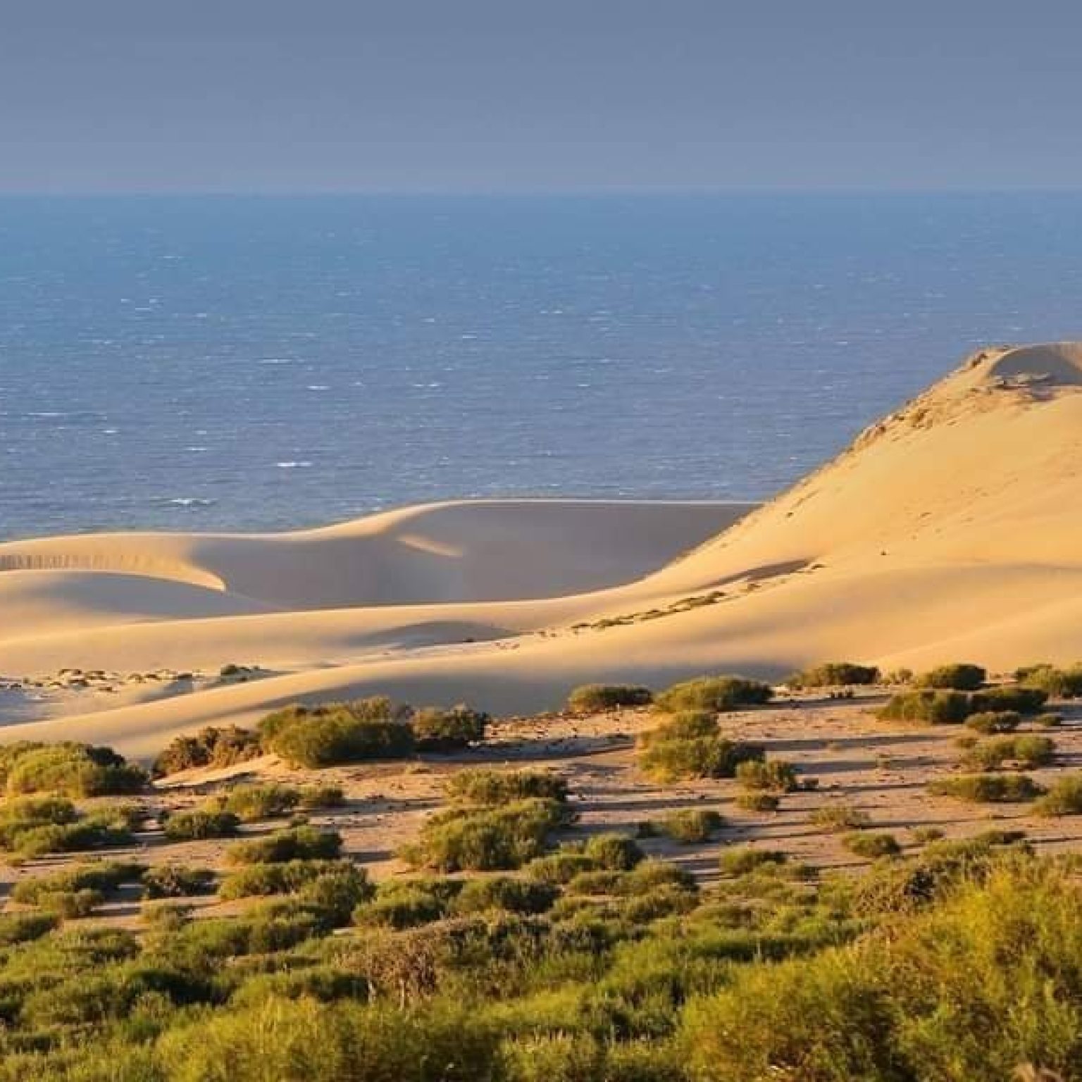 safari-tour-in-national-park-of-souss-massa-with-small-sahara_tHGcE