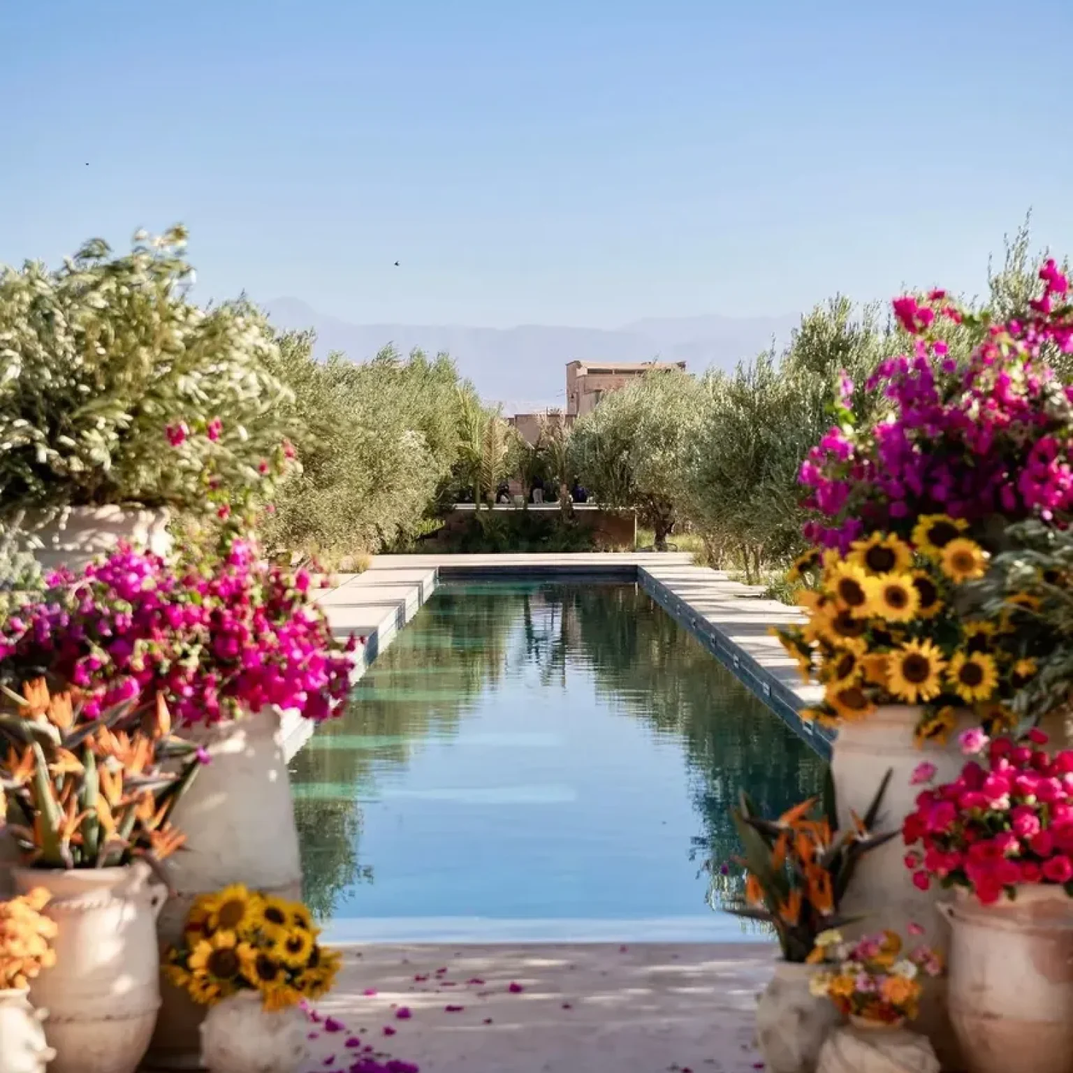 Farasha Farmhouse Marrakesh 26