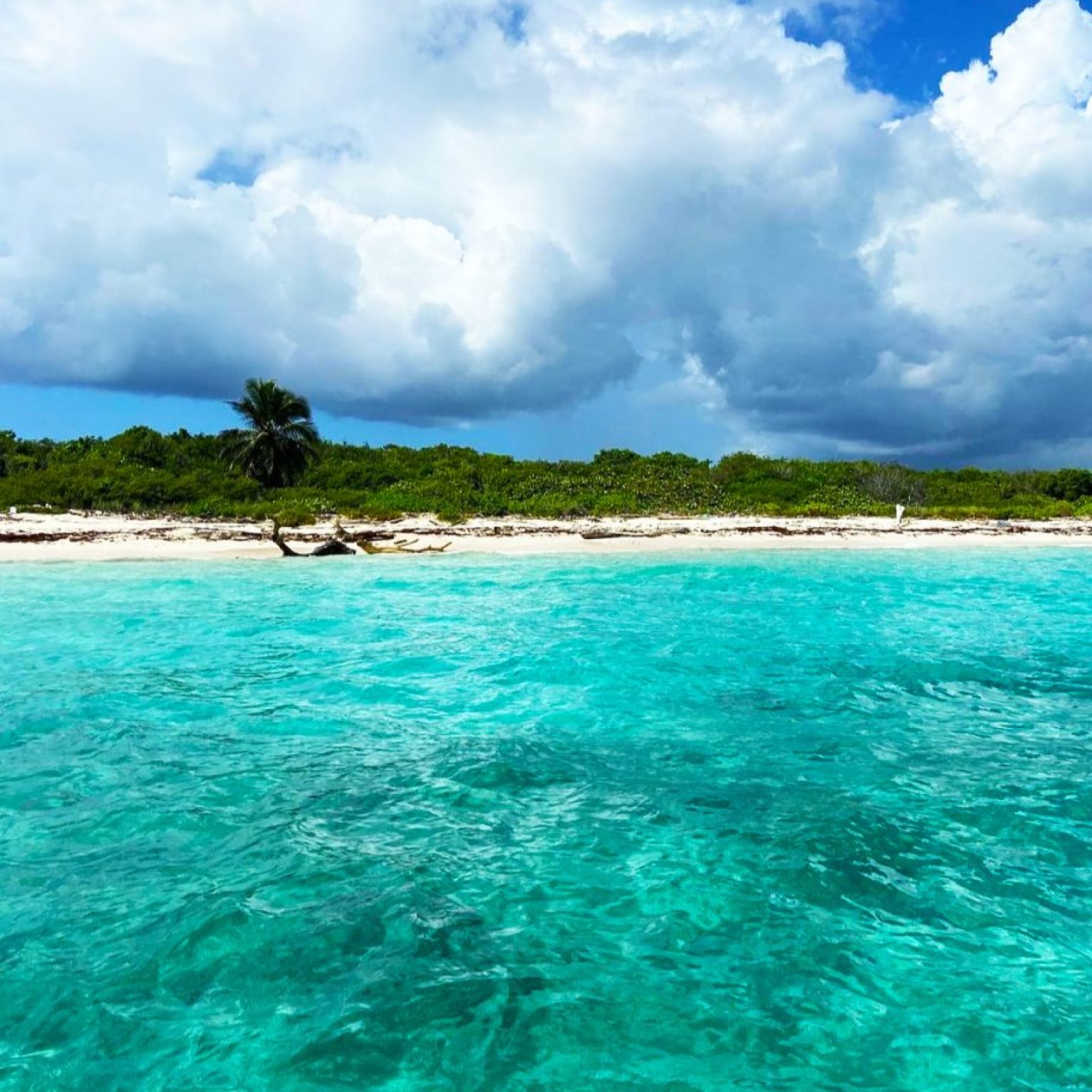 Isla-Catalina-3-912×1024