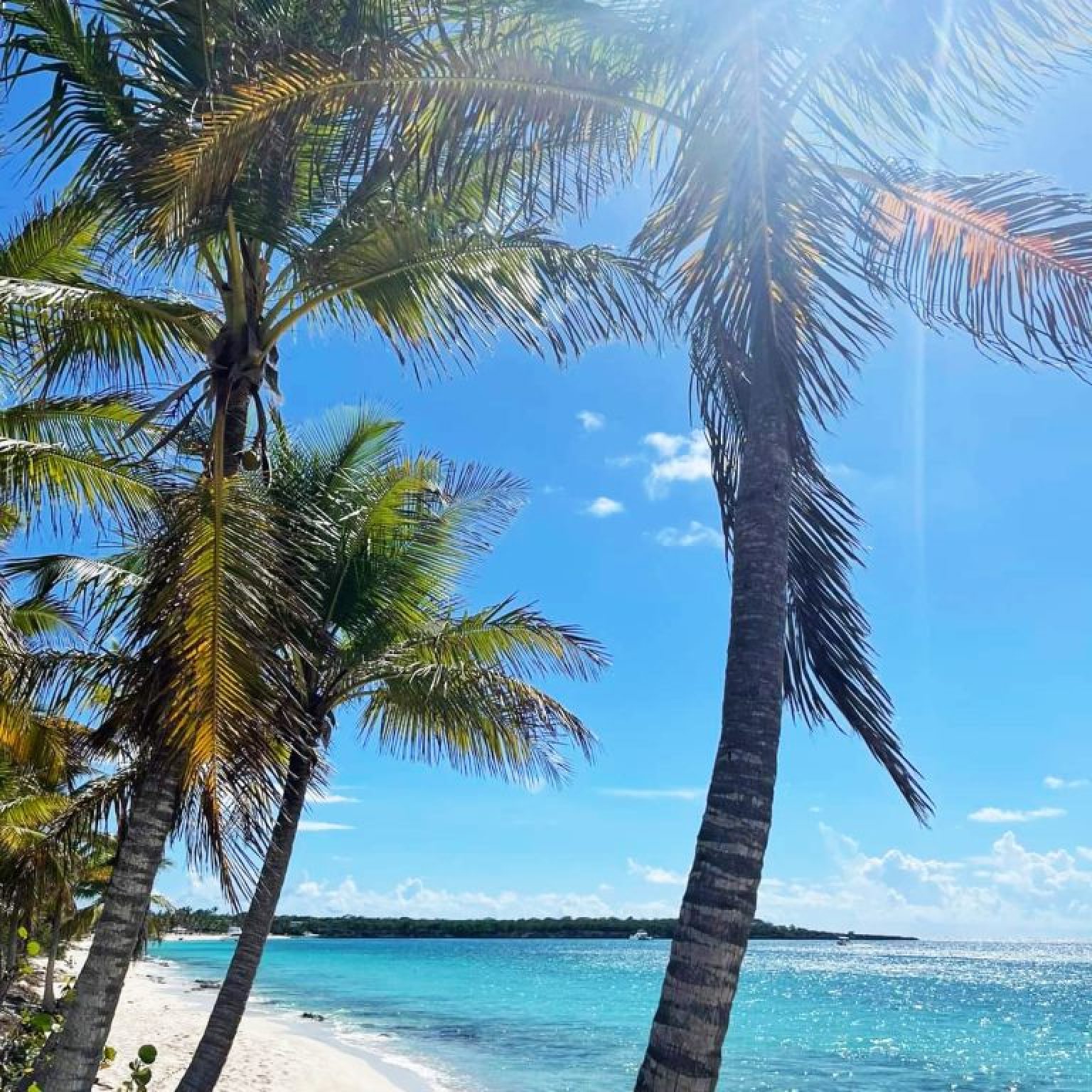 Isla-Catalina-6-768×1024