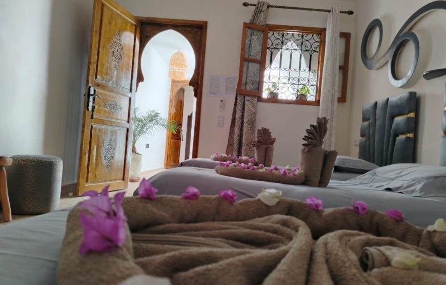 Zen Suite