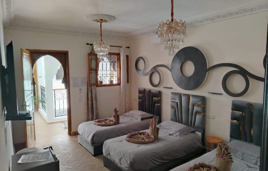 Zen Suite